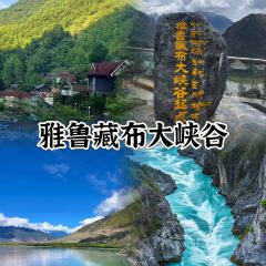 鲁朗石锅城·松茸天麻石锅鸡 User Photo