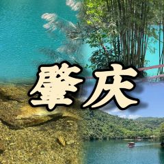 鼎湖山酒家 User Photo