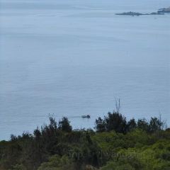 朱富贵火锅(宝信店) User Photo