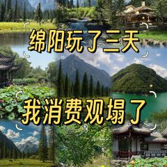 廖老俵肥肠鷄(总店)張用戶圖片