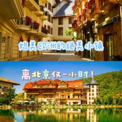 DA WEI ROAST WHOLE LAMB User Photo