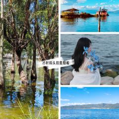 KARZAI JAS TOAST MANOR User Photo