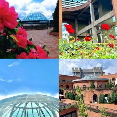 家风老馆子(德隆街店) User Photo