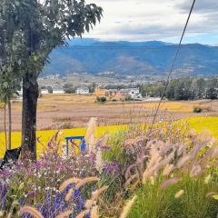 村边·合CAFE User Photo