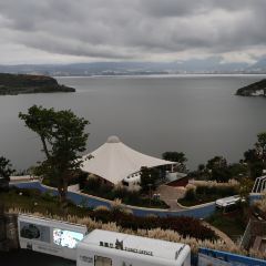 21G Espresso張用戶圖片