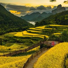 ZHENGLIANG SEAFOOD User Photo