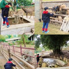 简阳三岔湖长岛天堂洲际酒店·龙轩中餐厅 User Photo