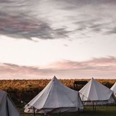 The Tasting Room at Mayura Station User Photo