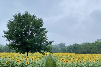 人民公社(神农北路店)