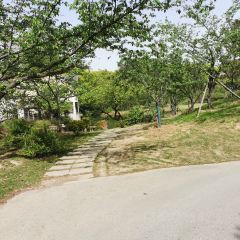 無邪張用戶圖片