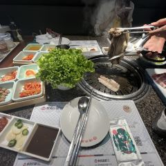 kao rou zhuang yuan User Photo