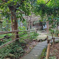 桑拿鸡 User Photo