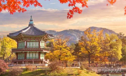 Cheonggyecheon, Seoul