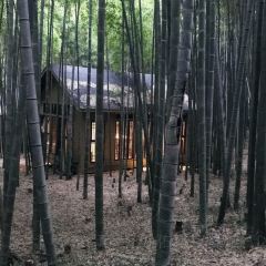 苏州环秀晓筑养生度假村·阅湖轩 User Photo