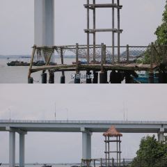 Pier Dad tea 여행 사진