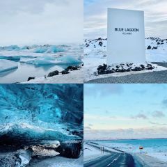 Sjavargrillid Seafood Grill User Photo