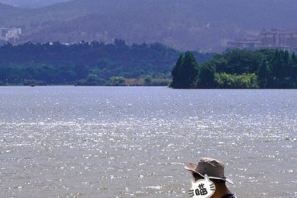 鸿馥养生豆浆鸡火锅(弥勒店)