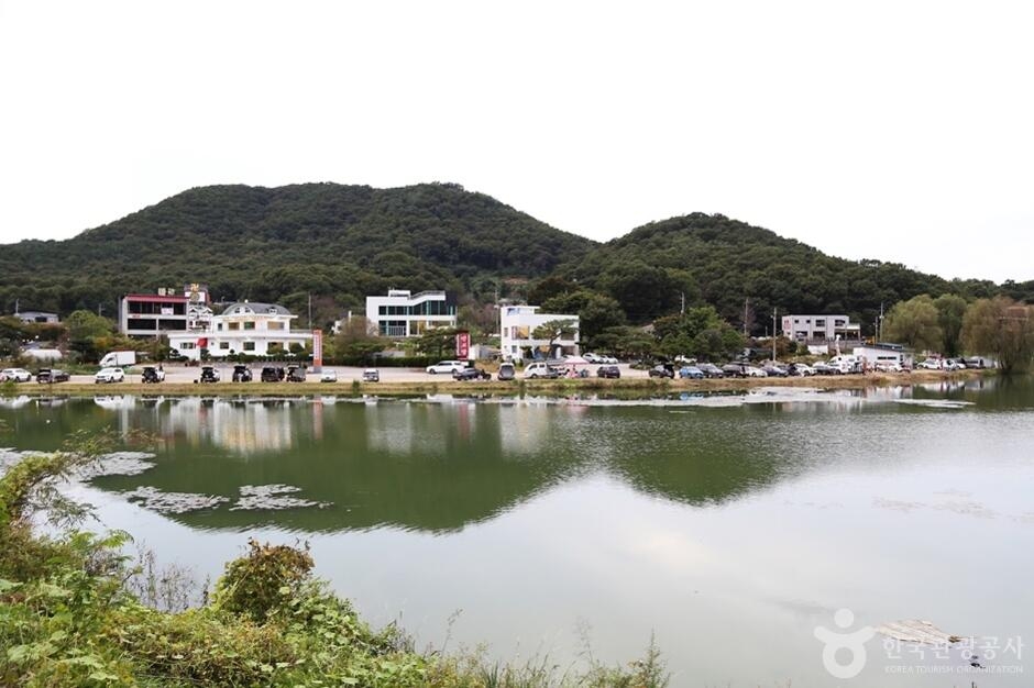 물왕호수 - 입장권, 운영 시간, 후기 & 사진 [2024년] | Trip.com