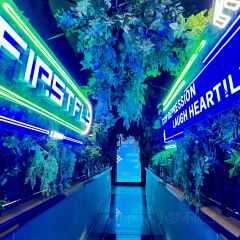 FIRST FLY·CLUB 여행 사진