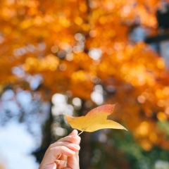 麥當勞（常州西瀛裡店）張用戶圖片