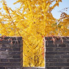 麥當勞（常州西瀛裡店）張用戶圖片