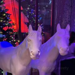 MAX SHANGHAI User Photo