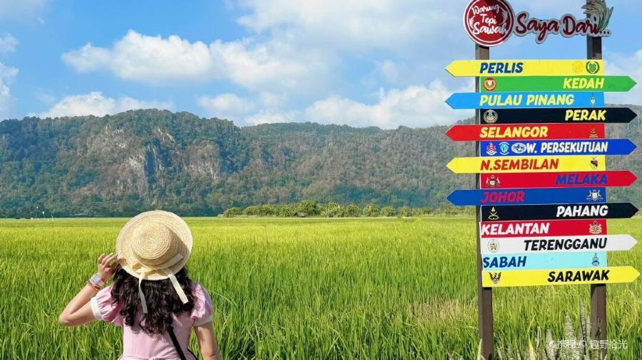 Warung Tepi Sawah 2769