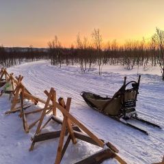 Tzarskaya Okhota User Photo