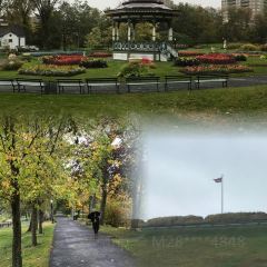 The Bicycle Thief User Photo