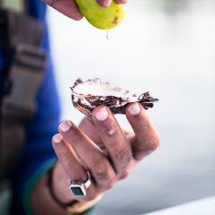 Tarkine Fresh Oysters User Photo