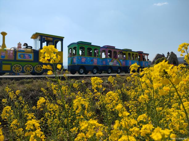 Jianshui County Rice Field Park