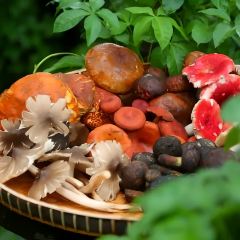 A XIAN SUAN JI ZHAO ảnh của người dùng