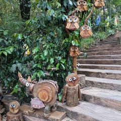 普洱小熊猫庄园·天碧餐厅 User Photo