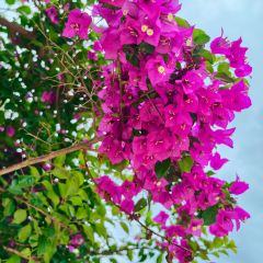 简聿咖啡 User Photo