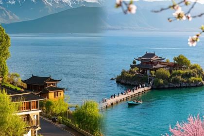 杨记饵块