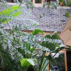 荒室·WildHouse·萬綠莫干山張用戶圖片