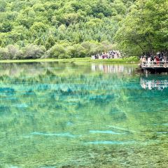 Bianbianjiecangyage Restaurant User Photo