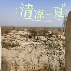 古老烤肉店قەدىمى تونۇر كاۋاپخانسى User Photo