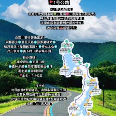 紫藤园·天目湖大鱼头(南山竹海店) User Photo