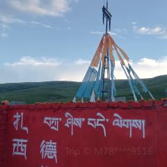 青海湖藏趣部落民宿·特色餐厅 User Photo