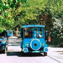 开克力瓦大盘鸡(伊犁街店) User Photo