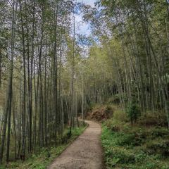 汾阳居私房菜 User Photo