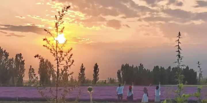 霍城花田庭苑民宿·中餐廳