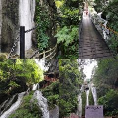 JIU TOU NIAO User Photo