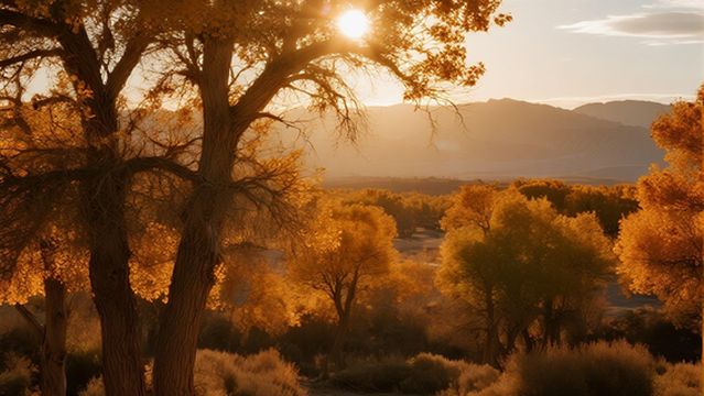 wu cai tan hu yang lin