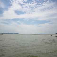 車 Coffee（湖景店）張用戶圖片