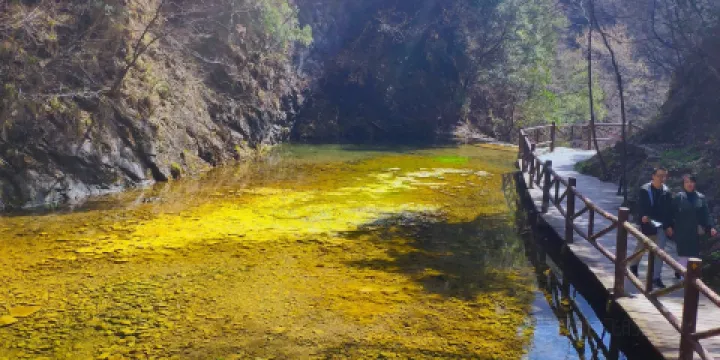 慄香園（金絲峽景區店）