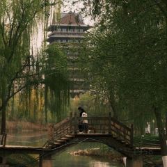 清真·胡家包子(七里河店) User Photo