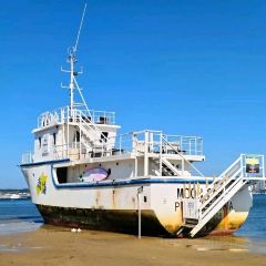 乞老板海鲜烧烤•甜麻肥蛤•海胆•海肠捞饭(山大店) User Photo