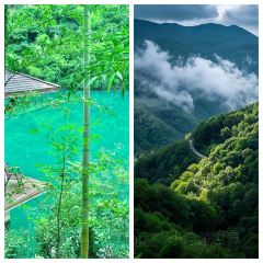 义远有机农场餐厅 User Photo